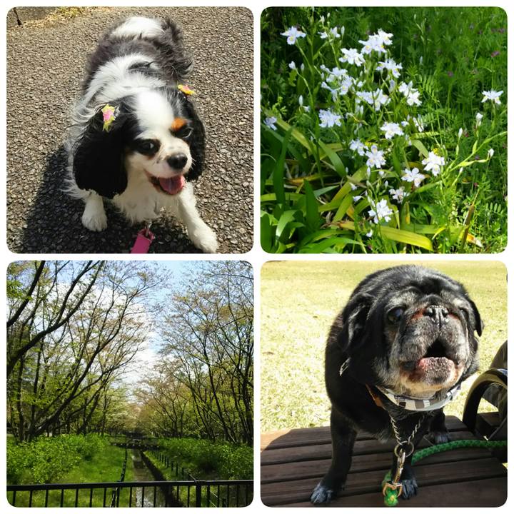 Bb45ead4 f13d 442c 9b8d c2536cb2a42b