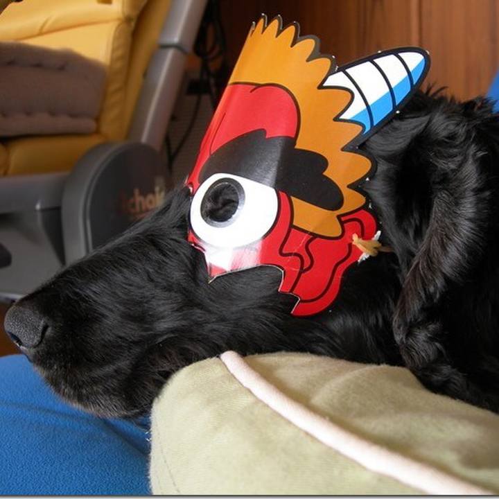 Bb45fe95 ecc9 41cb a471 8e5fab88220a