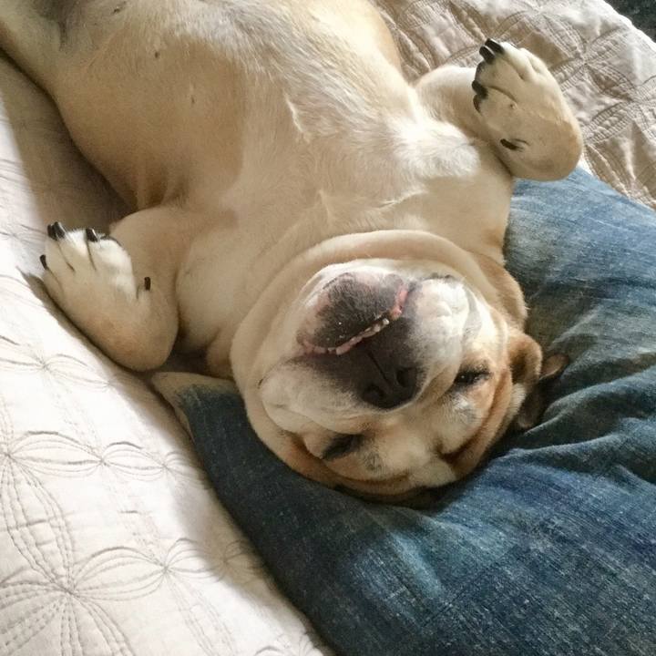 Bb466179 d5e2 474a 81df 3cb39aedf2fa