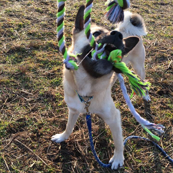 Bb47426a d58a 4212 8120 b9e4d614cf6f