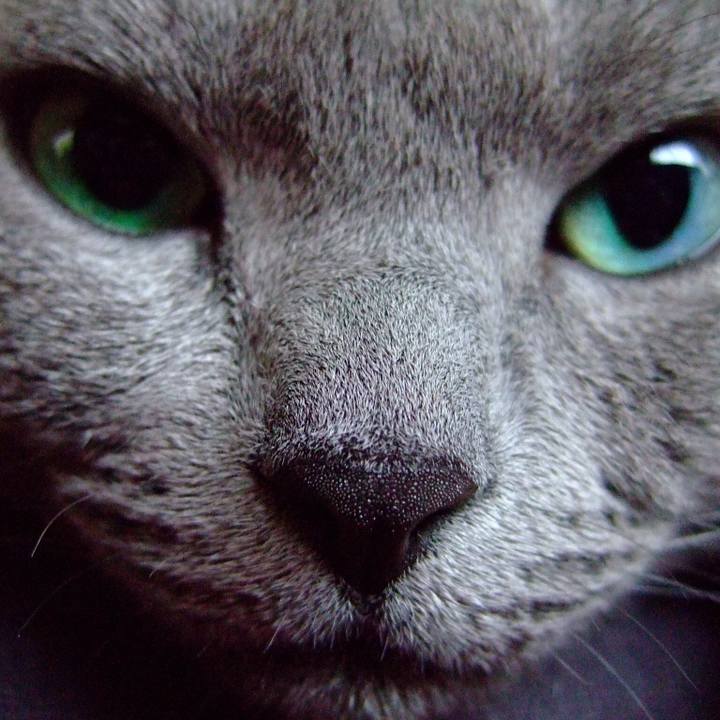 Bb47779a 353d 467c 836a 1e3a3dd24164