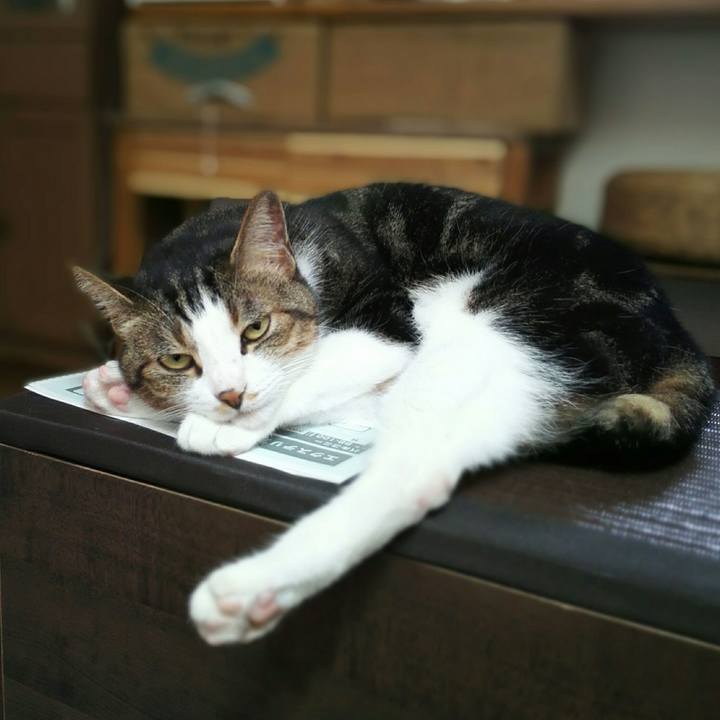 Bb47a465 fcb4 47cc 8c2e a02037b325f1