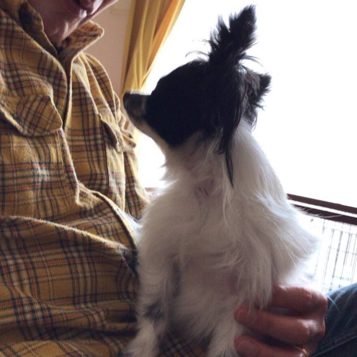 Bb47ab09 f2bd 472d b2c4 d31f6e05aa5c