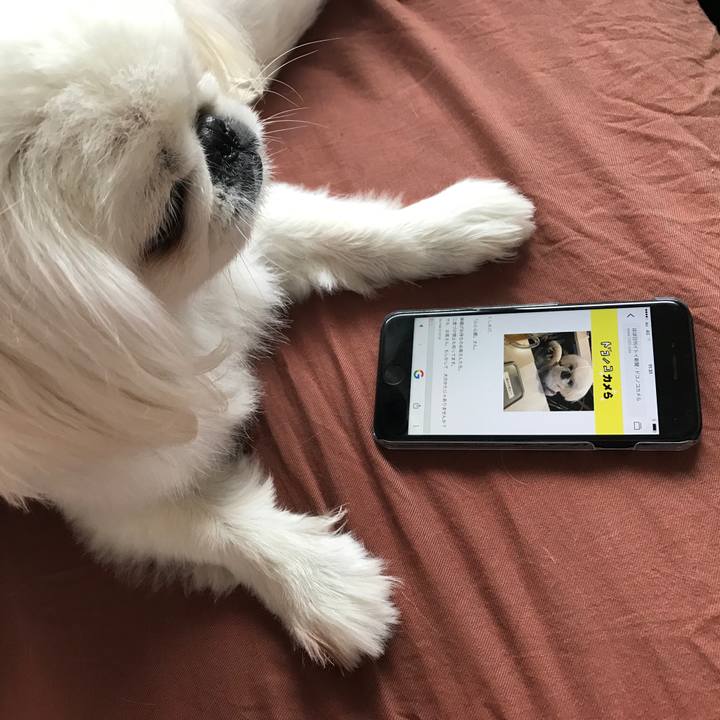 Bb486fe4 ee93 432f 8444 5833621df94a