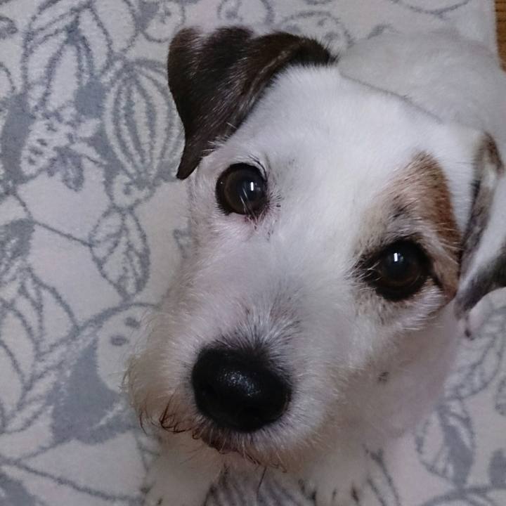 Bb494038 2408 44ff 943a c6e3b38d13cd