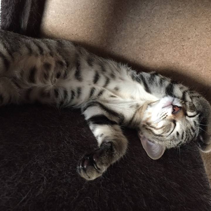 Bb49424a 02a5 483b a587 5e922205bea5