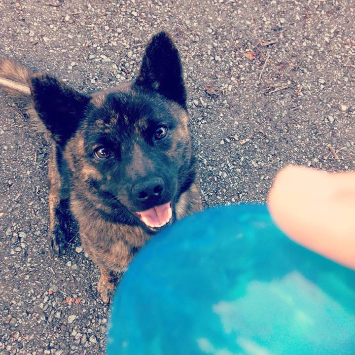 Bb4ae005 8153 4315 8f47 72736125edbd