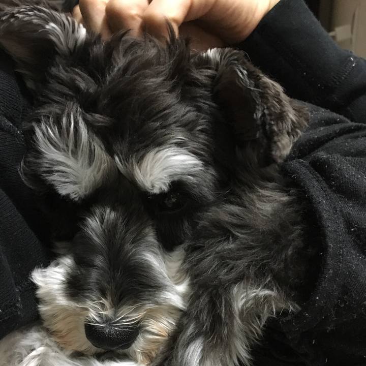 Bb4b4611 6d4d 4783 a95c 100ec47317d1