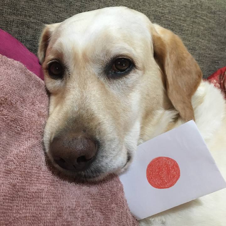 Bb4b962a 6fe3 484d bab3 c9bb9303455e