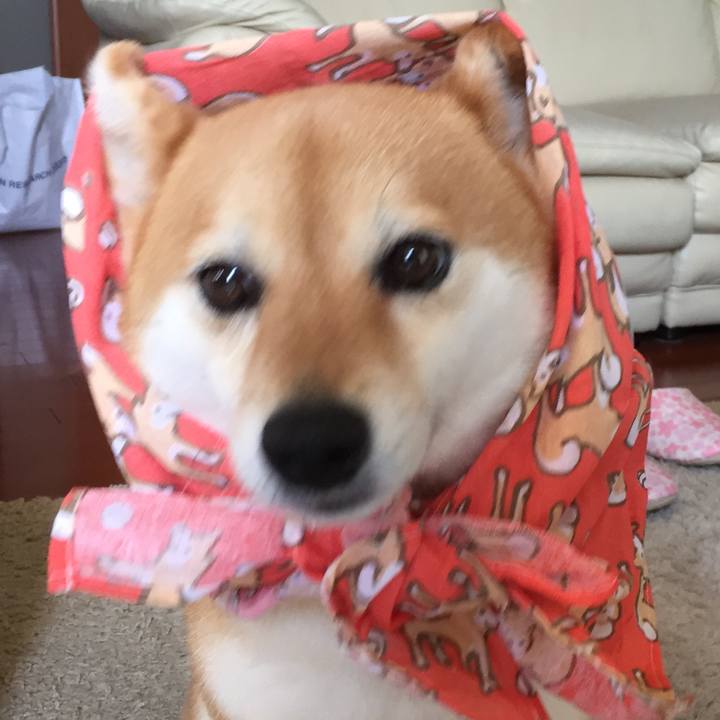 Bb4bca2e 45a2 4be7 8279 ea28ea868fca