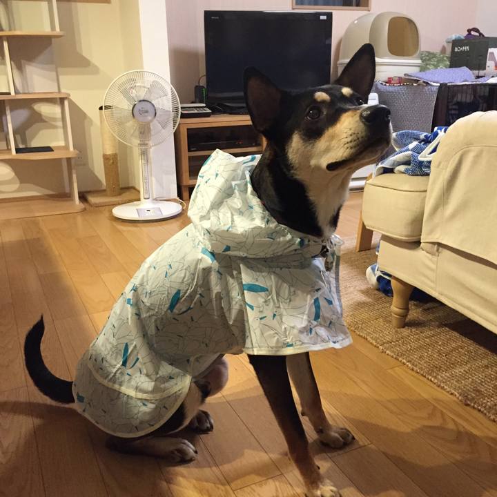 Bb4bfaf6 688e 4b34 94eb 1387c593c7c7