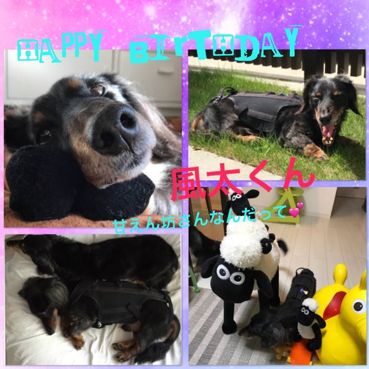 Bb4c2446 0bd1 405d ba47 22ff70cbc81f