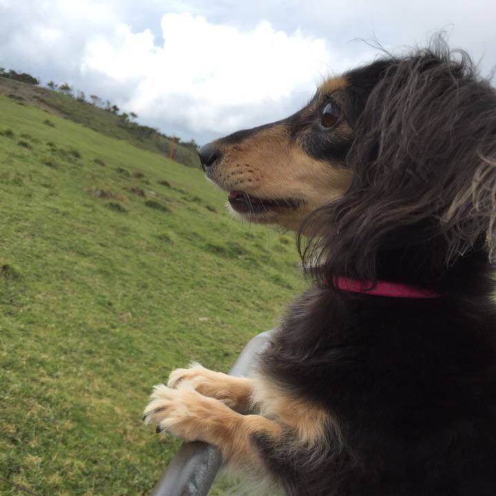 Bb4c2660 3eac 4adb 9c7f 1e214bba39d5