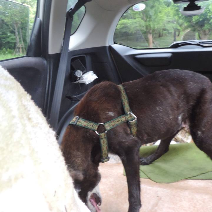 Bb4c5170 0611 40b1 a25a 355077c6e4e0