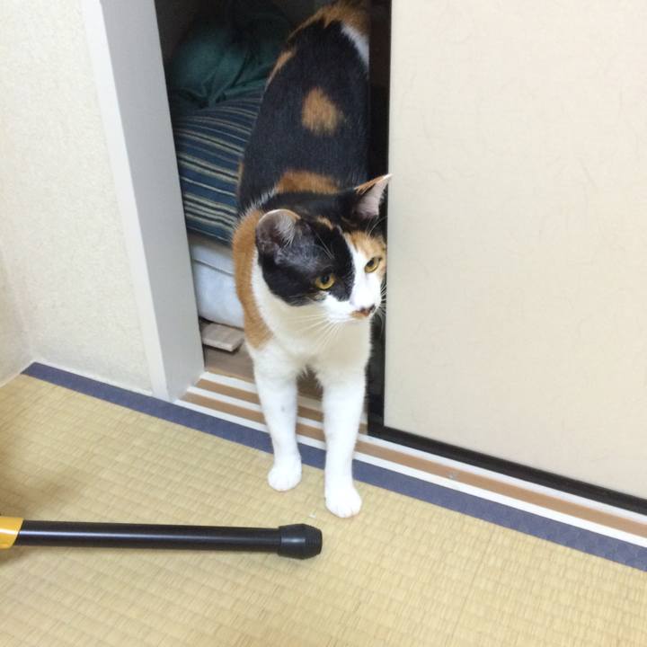 Bb4d1723 52de 4cc0 8a04 08cc6614e19f