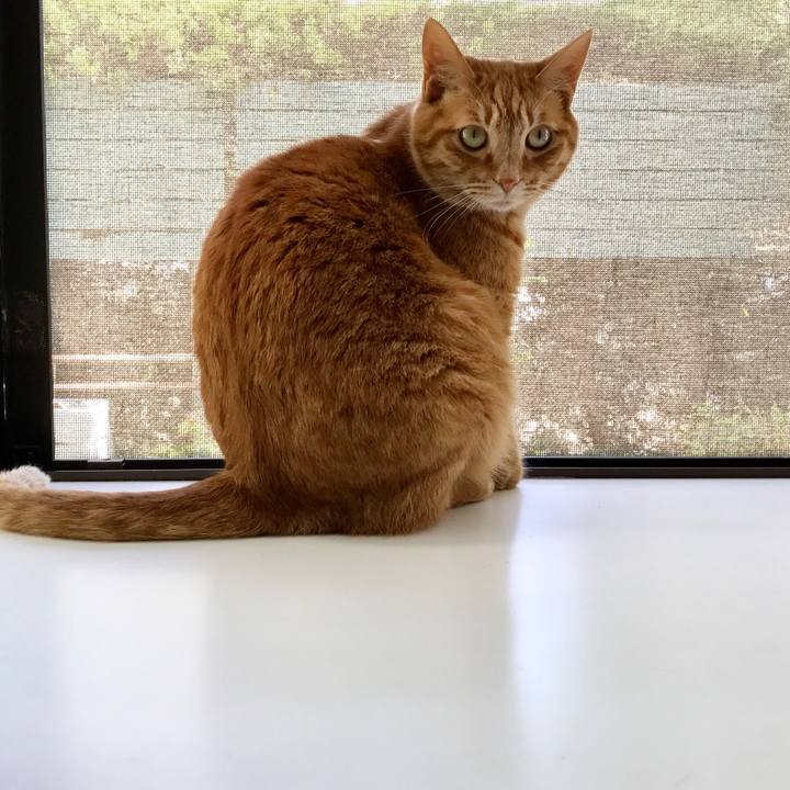 Bb4d62ec caf7 4c43 a0b4 a804b958efaf