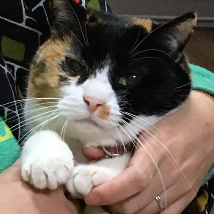 Bb4dc3c0 f9bc 422c a007 f28fdc919c15