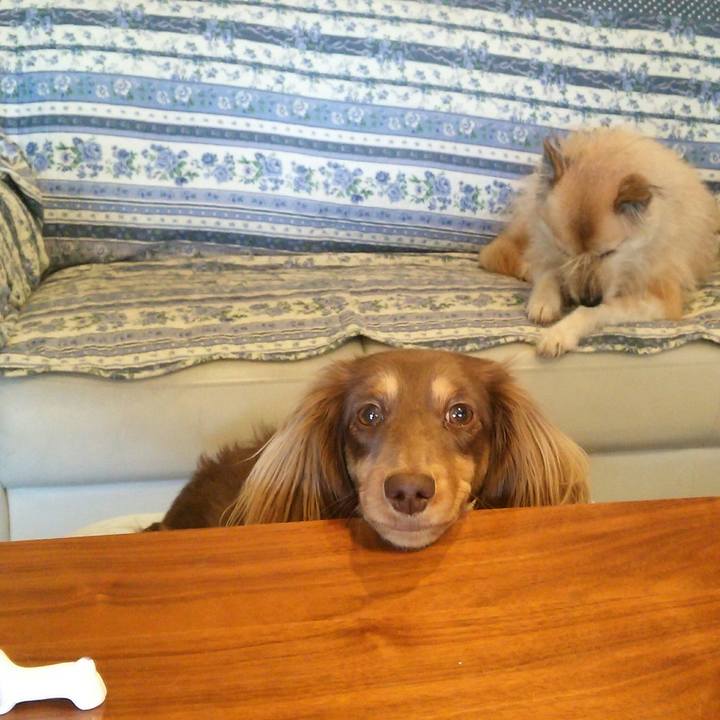 Bb4de6ea c562 4a56 af79 6edbf39bfdc5