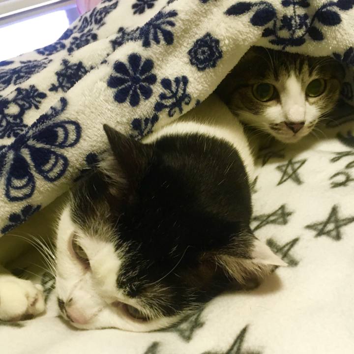 Bb4e9041 68a4 422b be97 bb0eabd3302e