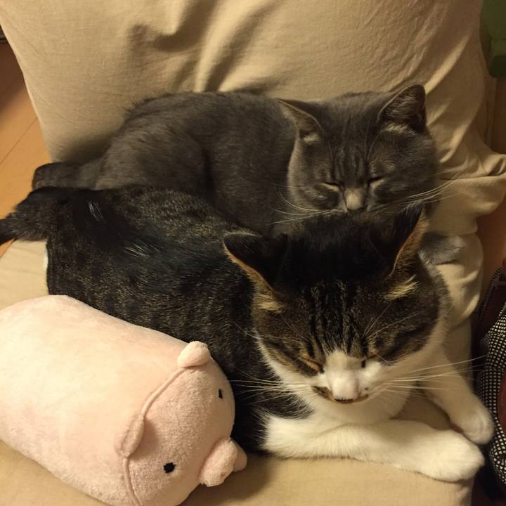 Bb4f013f 21cc 4562 a64a bdbe959d1e8d