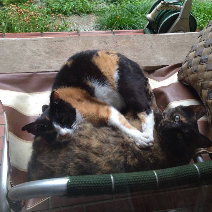 Bb4f34db 9083 47d9 9be9 06ec33dc28d4