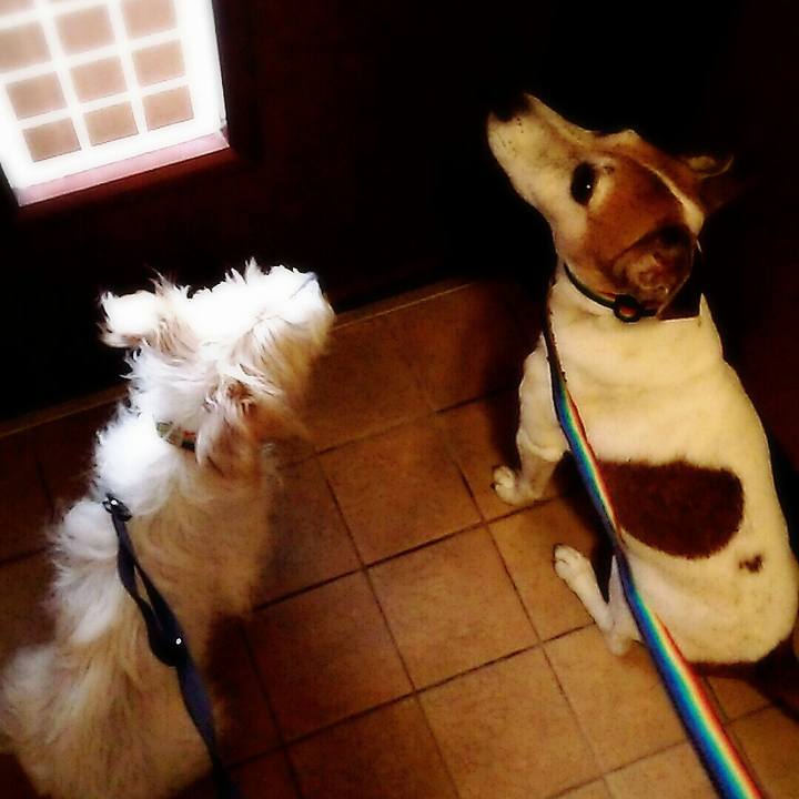 Bb4fd4f9 69df 4eac a21e b4f16c5cb3a8