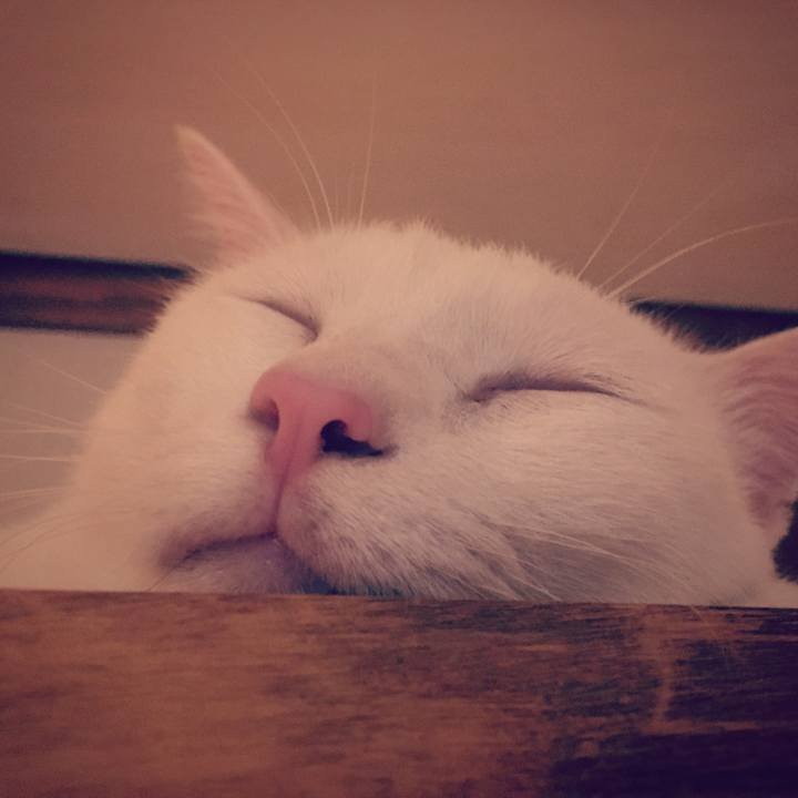 Bb500a0d 3296 4845 ba1d b4a1f4bf5dc2