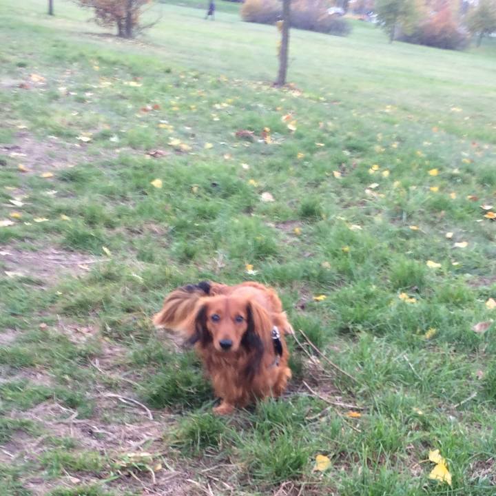 Bb505d59 58fa 41e5 86d3 235d48430b50