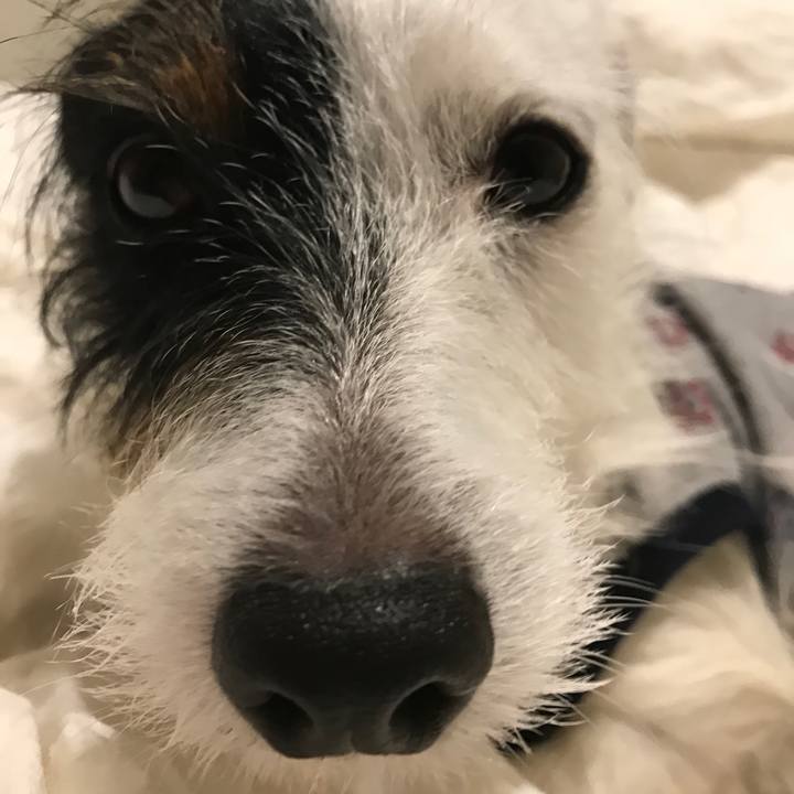 Bb5072d4 0a7a 4dc0 ad16 1fb0fd1b9f71