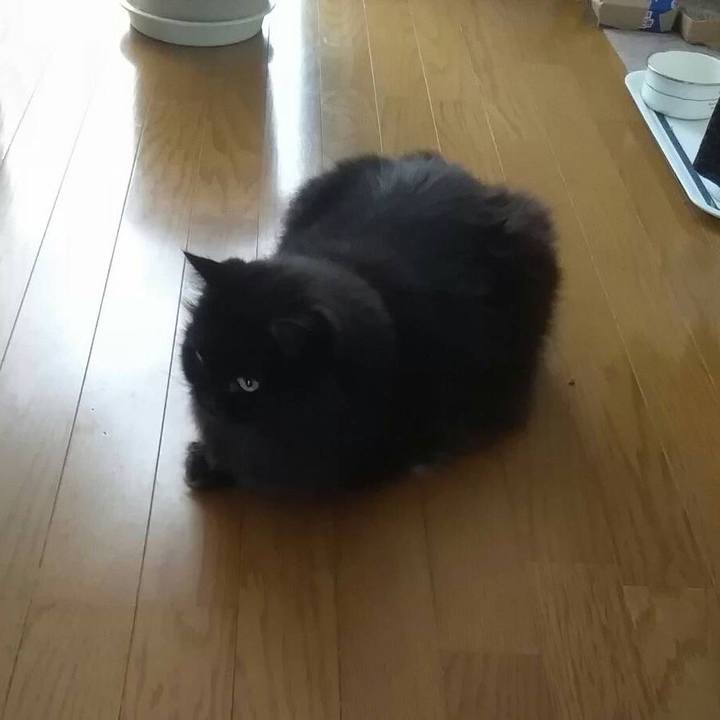 Bb510af7 3b54 4477 8fc3 7844520ebc30