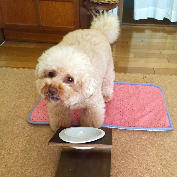 Bb51d2d5 7676 423e a52c 434ec2e956fb