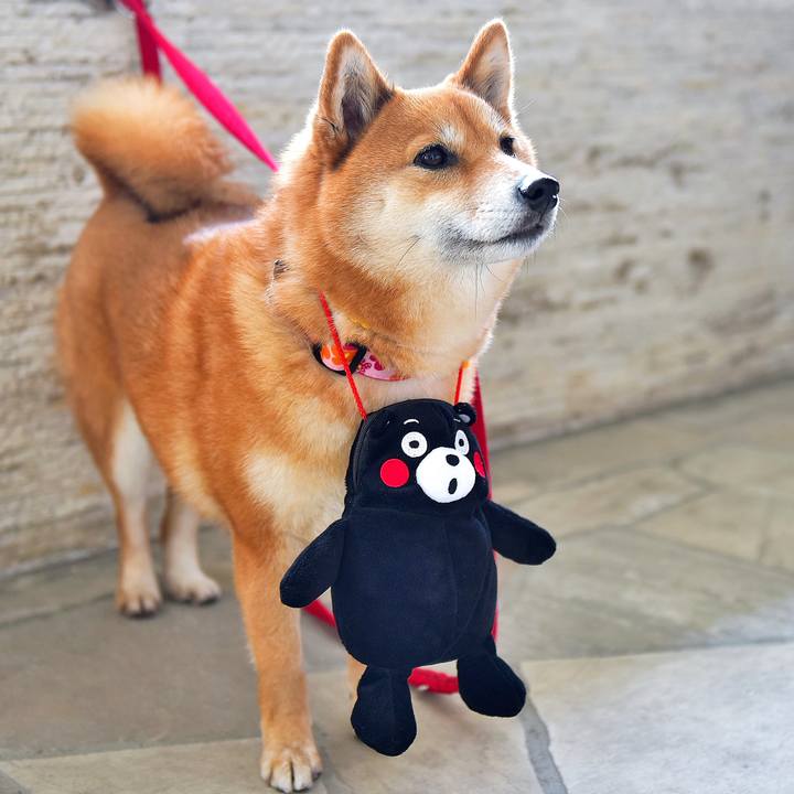 Bb51fb71 aae3 4d0a aac4 e1031ad97d67