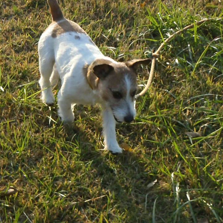 Bb520a93 bc43 47df 86ea 49826a5f7154