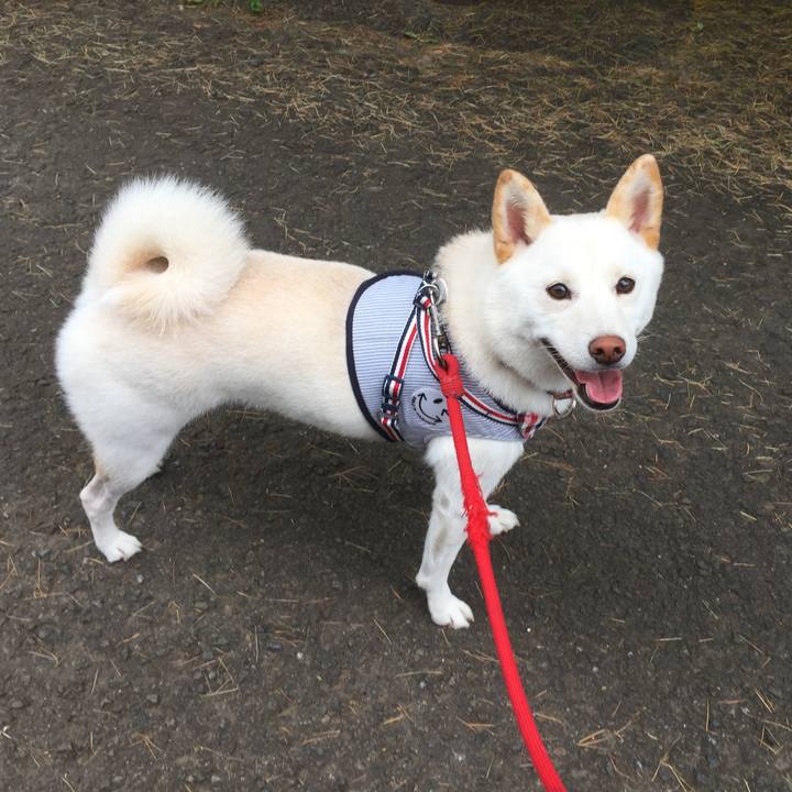 Bb52667e 7fd9 4094 ac32 7e5fe3c18da9