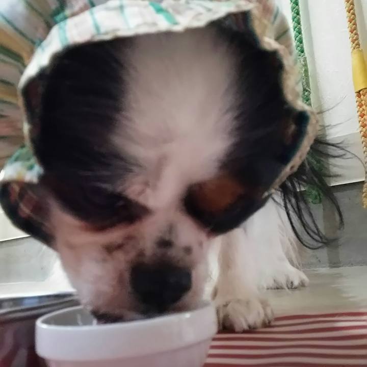 Bb52c349 10b5 4312 868e 369fe8639290