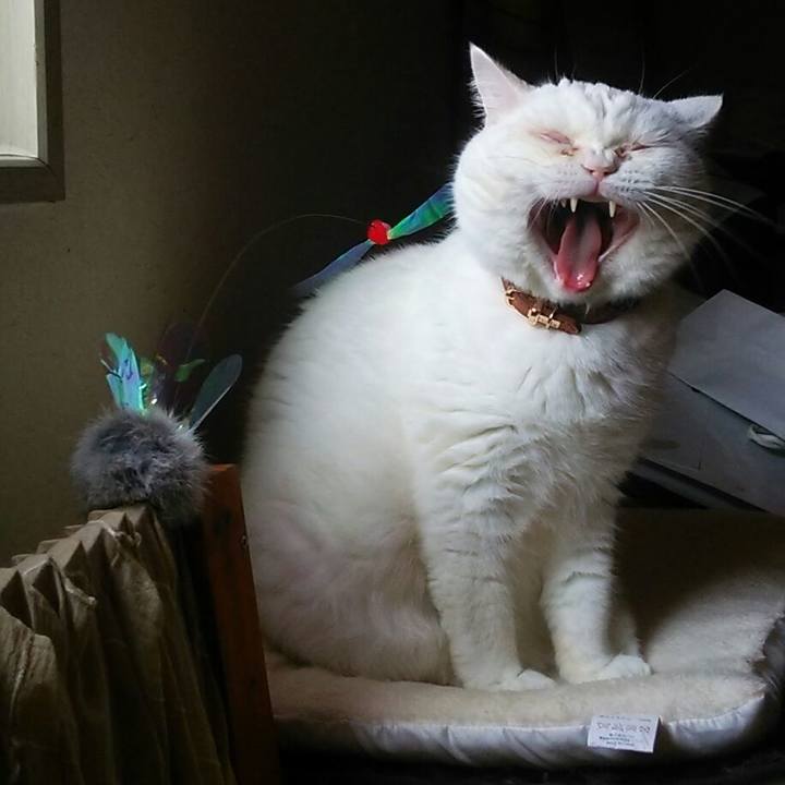 Bb52eab2 51e0 48b6 abfb f4af5cc82f8b