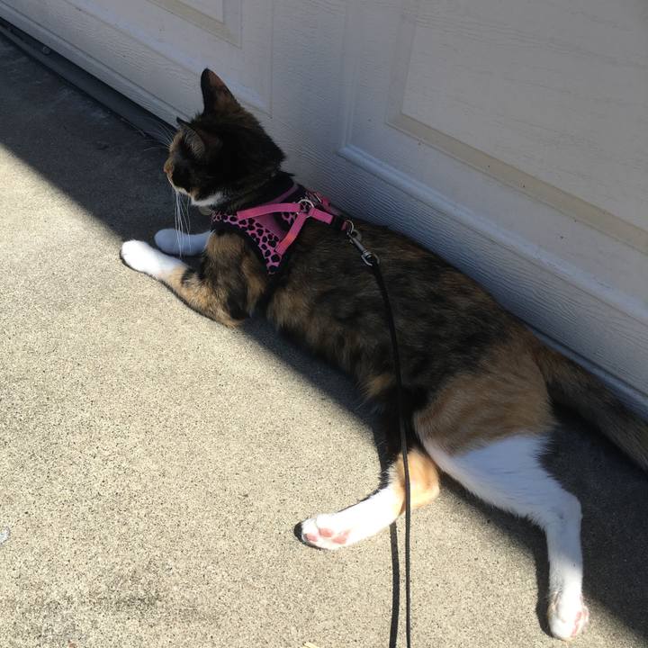 Bb5314e5 2ea5 4bd4 af2f d845e409fbed