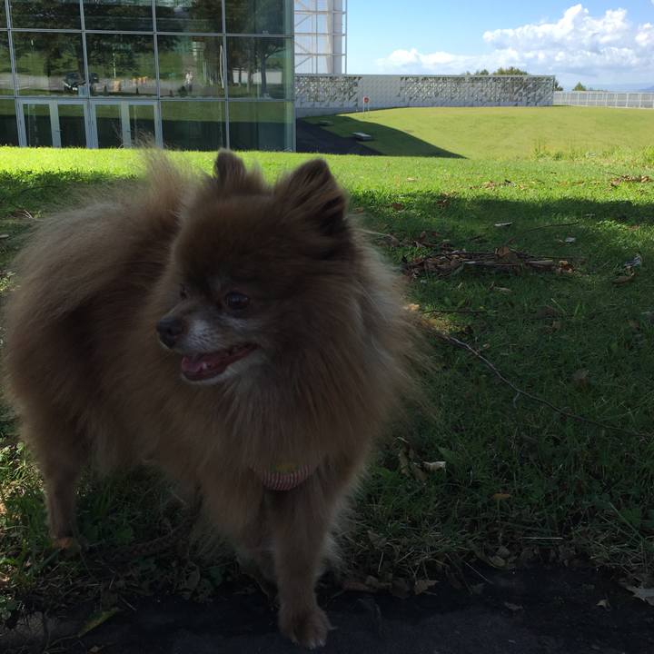 Bb532ae3 9630 46d5 a8b6 a940b4fd75e0