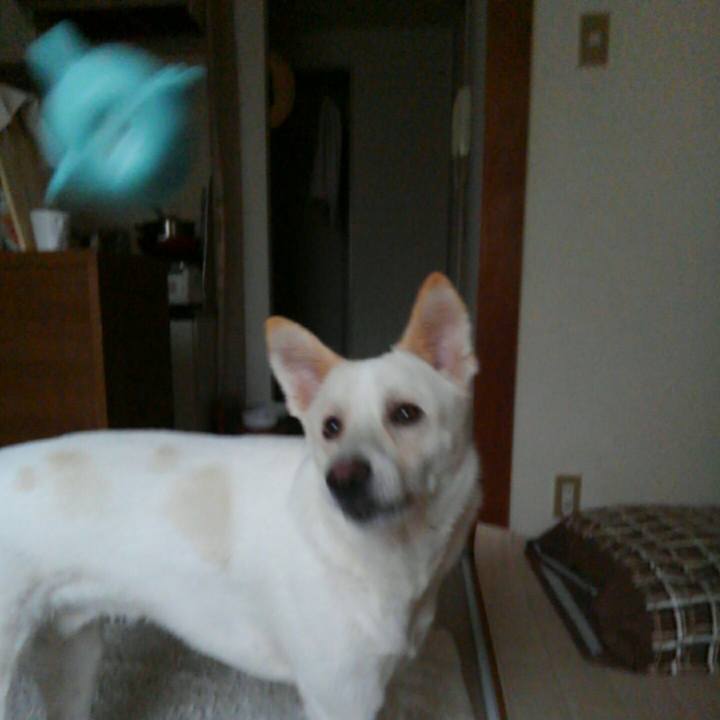 Bb535295 e3d3 4873 b972 4780a4245693