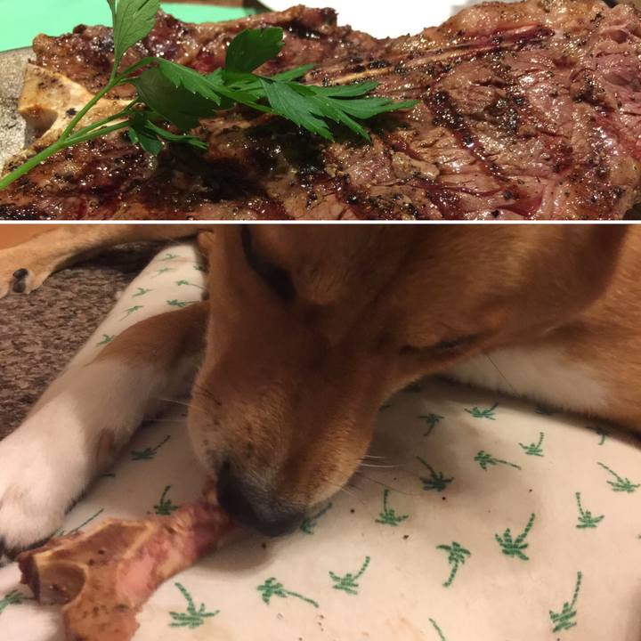 Bb53b02d 06f5 4258 aef7 868bc76d6320