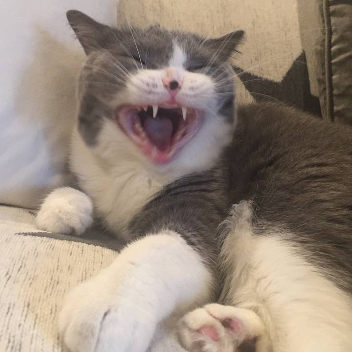 Bb54e558 b59b 4d8e a648 9504d47cc30a