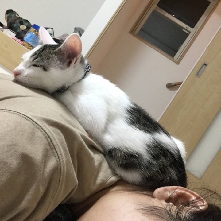 Bb56d453 aa00 4f85 80c1 1156e190112d