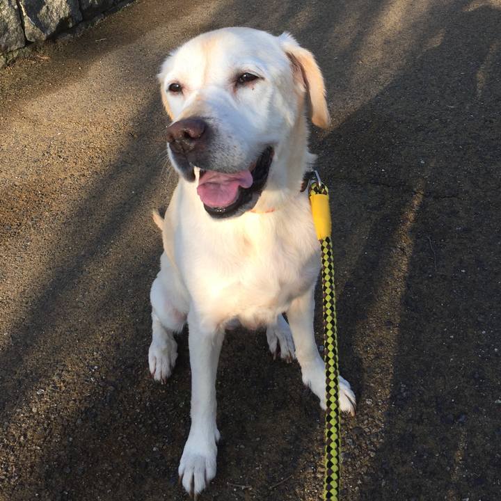 Bb573bb3 5159 4532 867a 8442065a4b86