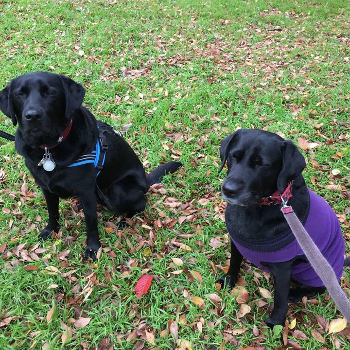 Bb57babe d6bc 4ccc 9341 0fed6004a8a8