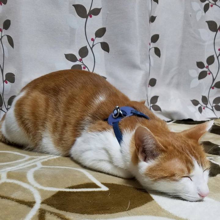 Bb584f47 a0c4 43cf 8089 0f8855430412