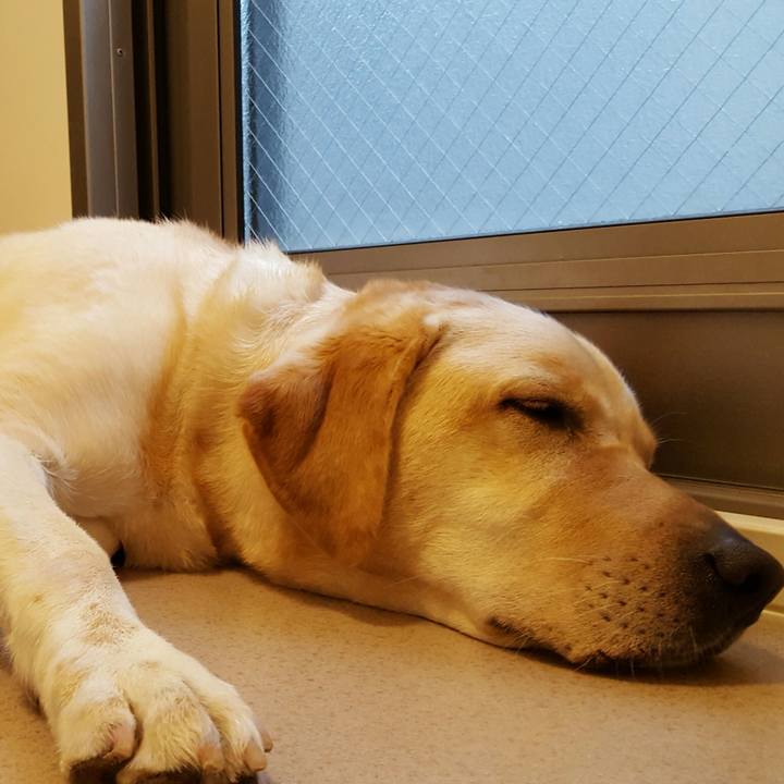 Bb5939c2 288a 4462 bb7f 34c783e408db