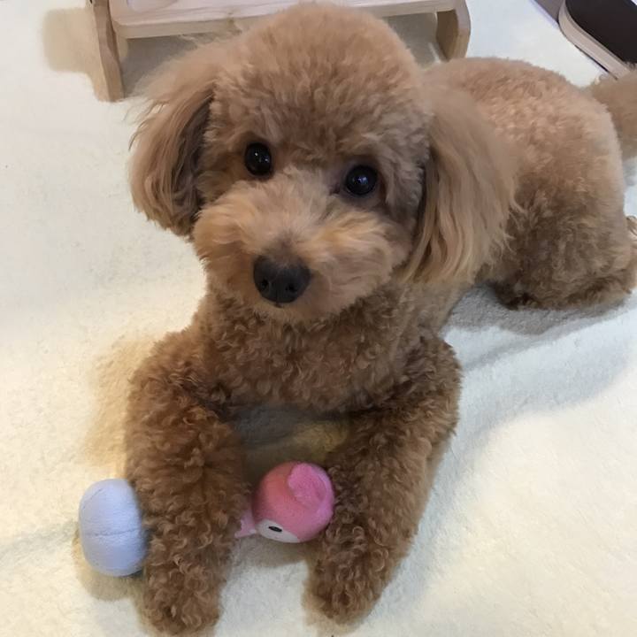 Bb5a6a86 dd31 42dd a42b 6742cbeab874