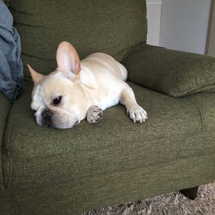 Bb5ab73b 3950 43a2 94e9 a90a44a534c4