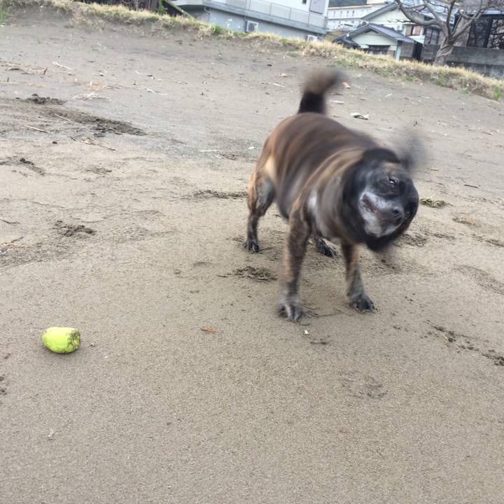 Bb5abe3f 7c10 4978 bd11 bce230479f70