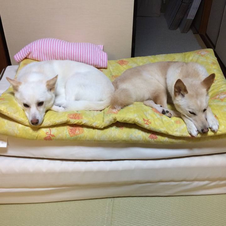 Bb5b0e28 fbab 42c5 98a5 df94982779d6